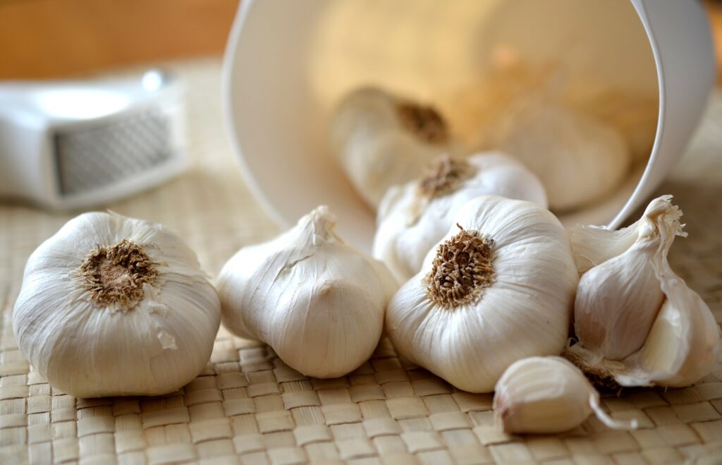 cloves-of-garlic-entertainments-saga